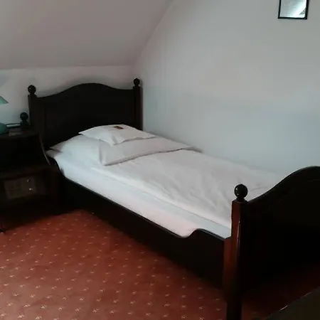 Zur Traube Hotel 3*